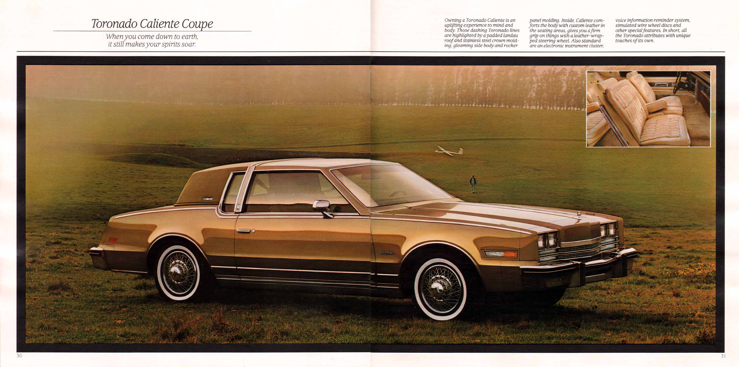 1985 Oldsmobile Full-Size Brochure Page 15